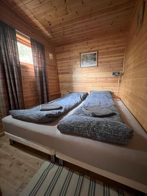Cozy And Spacious Cabin Svensby Buitenkant foto